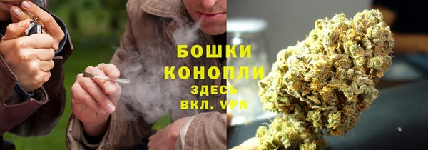 МДПВ Заводоуковск