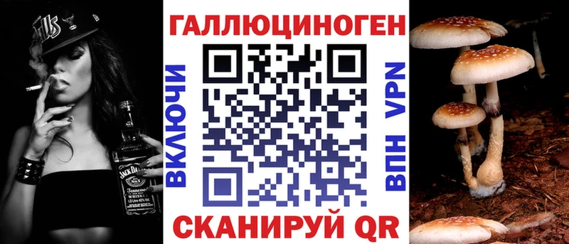 Купить где  Гаврилов Посад  Псилоцибиновые грибы Magic Shrooms 